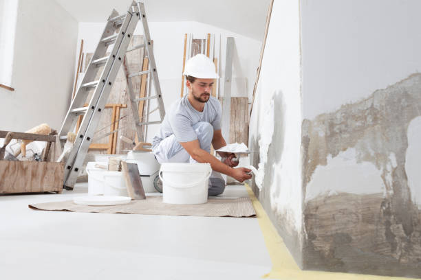 Best Commercial Painting  in Bushland, TX