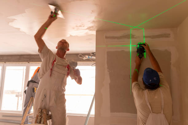 Best Drywall Sanding and Smoothing  in Bushland, TX